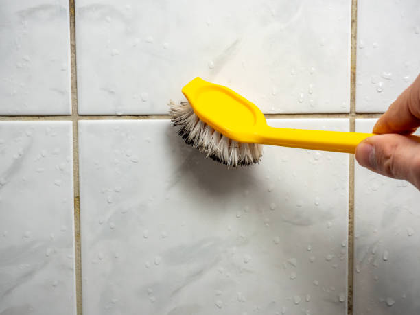 Vicksburg, MS Mold Removal Company