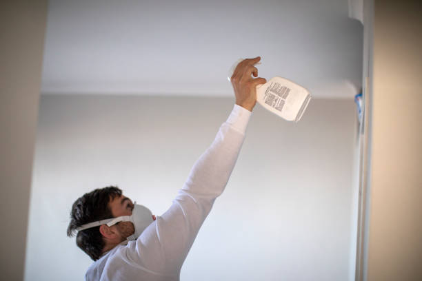 Best Home Mold Removal  in Vicksburg, MS