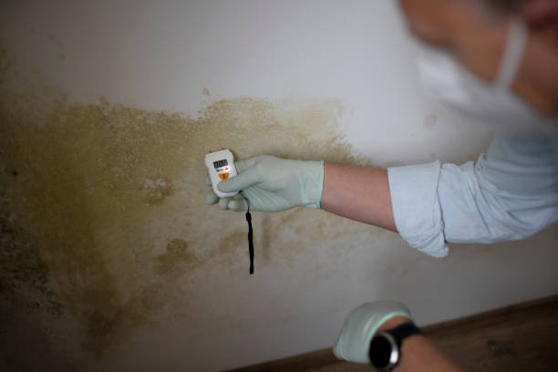 Water Damage Restoration in Vicksburg, MS